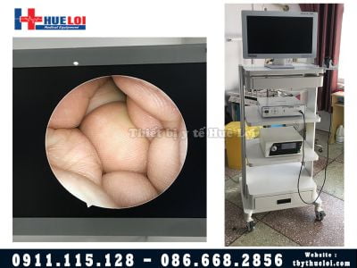 Combo Máy Nội Soi Tai Mũi Họng TJ-168A