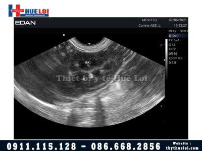 Máy siêu âm thú y giá rẻ - VET EDAN