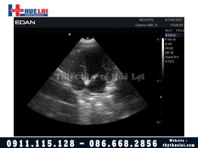 Máy siêu âm thú y giá rẻ - VET EDAN