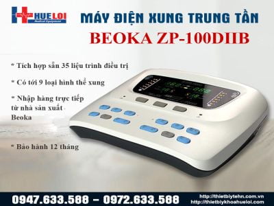 Máy điện xung trung tần ZP-100 DIIB