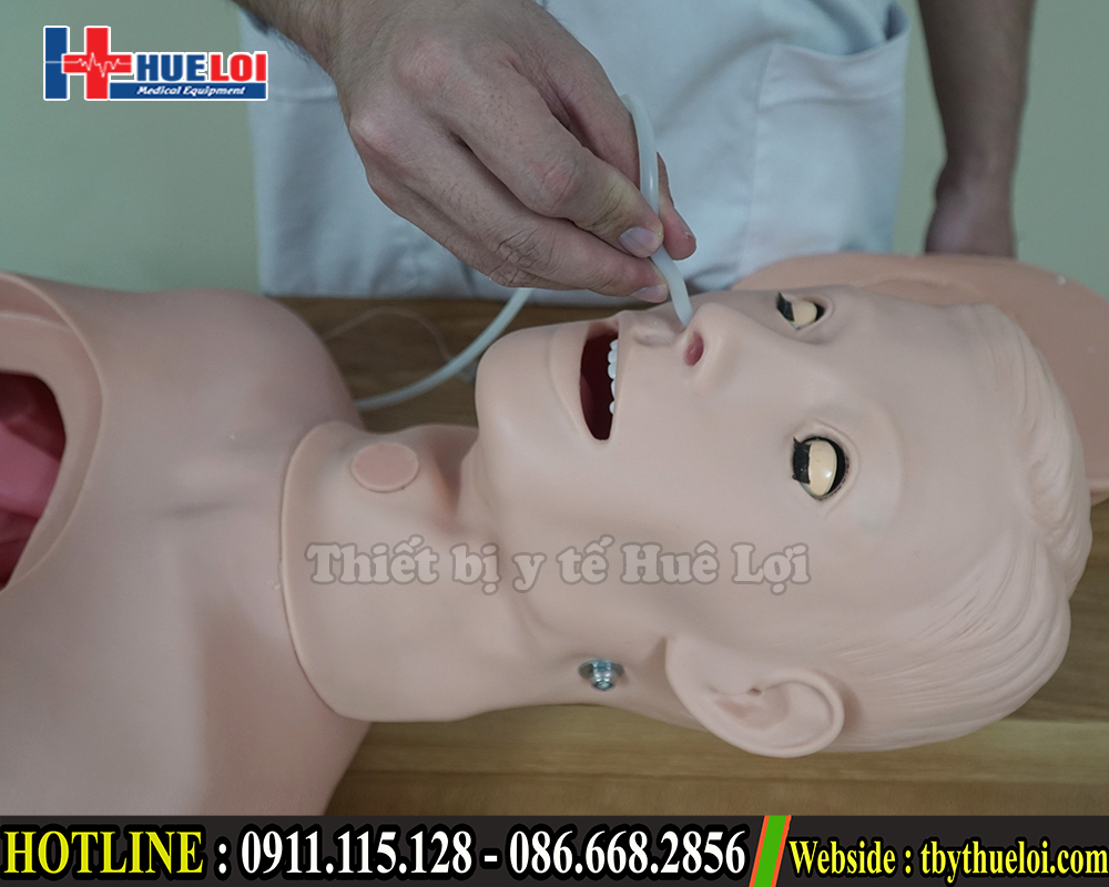 mô hình đặt sonde dạ dày